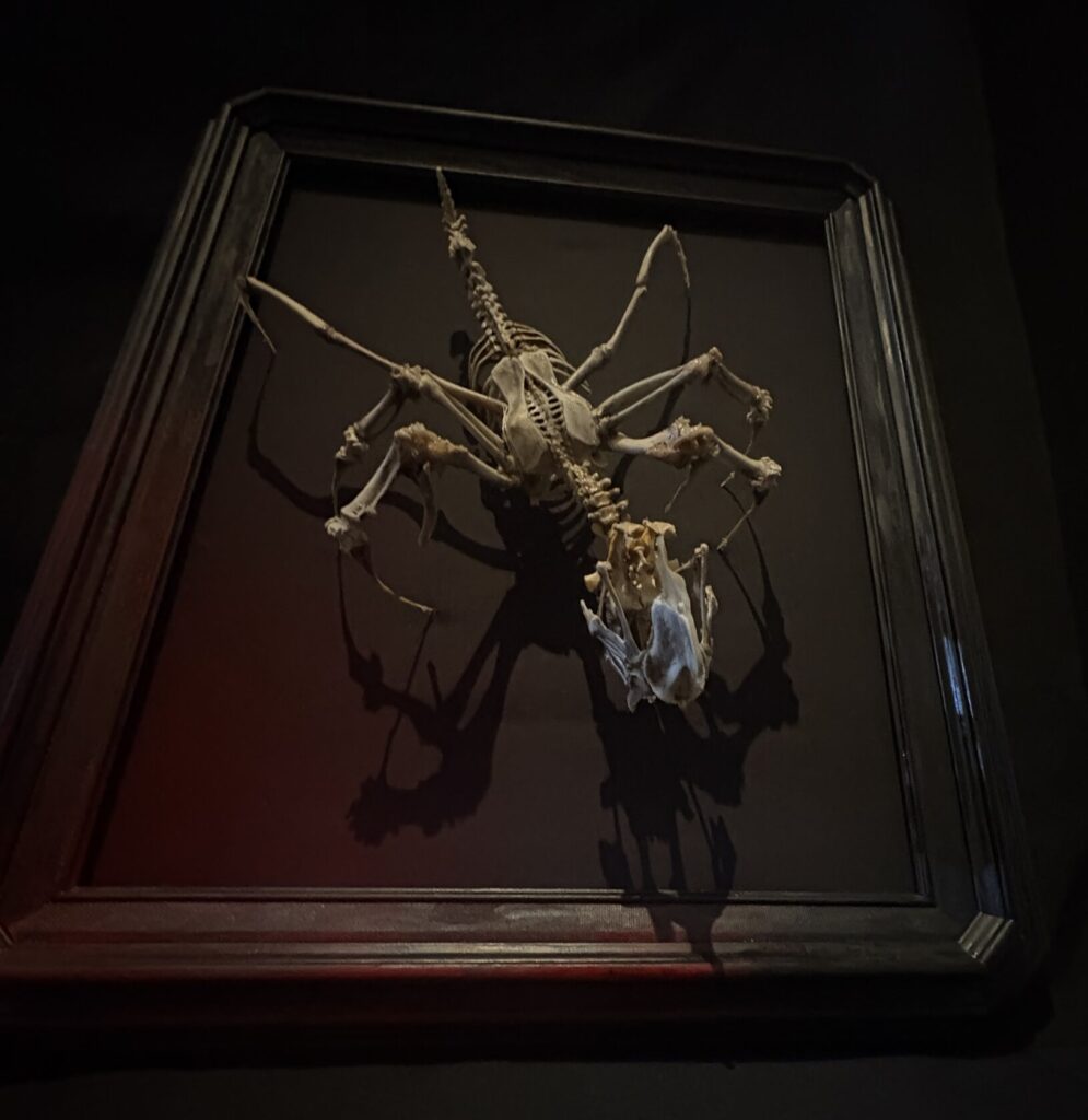 Real Chicken Bone Texture in Hybrid Fever Art A wide shot showing the sinuous body and complex skeletal structure of the Púca, a one-of-a-kind art piece from Hybrid Fever in Los Angeles.