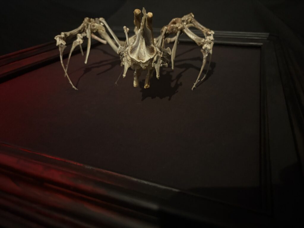 Ventura oddities bone sculptures created this Puca Shapeshifter from ethically sourced animal bones.