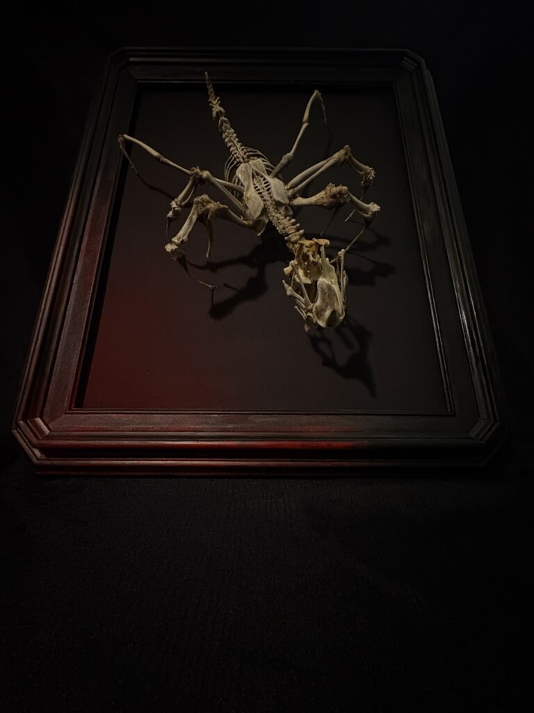 Púca Skeletal Spirit – Framed Macabre Art Perspective A framed view of the Púca bone spirit sculpture against a dark background, highlighting its intricate skeletal structure and the haunting shadows cast by the professional lighting.