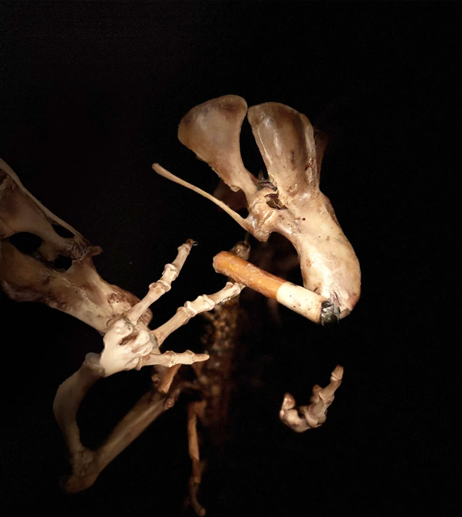 A detailed technical view of the naturally whitened bone remnants used to construct the Aillen Smoke Demon, mounted on a dark canvas.