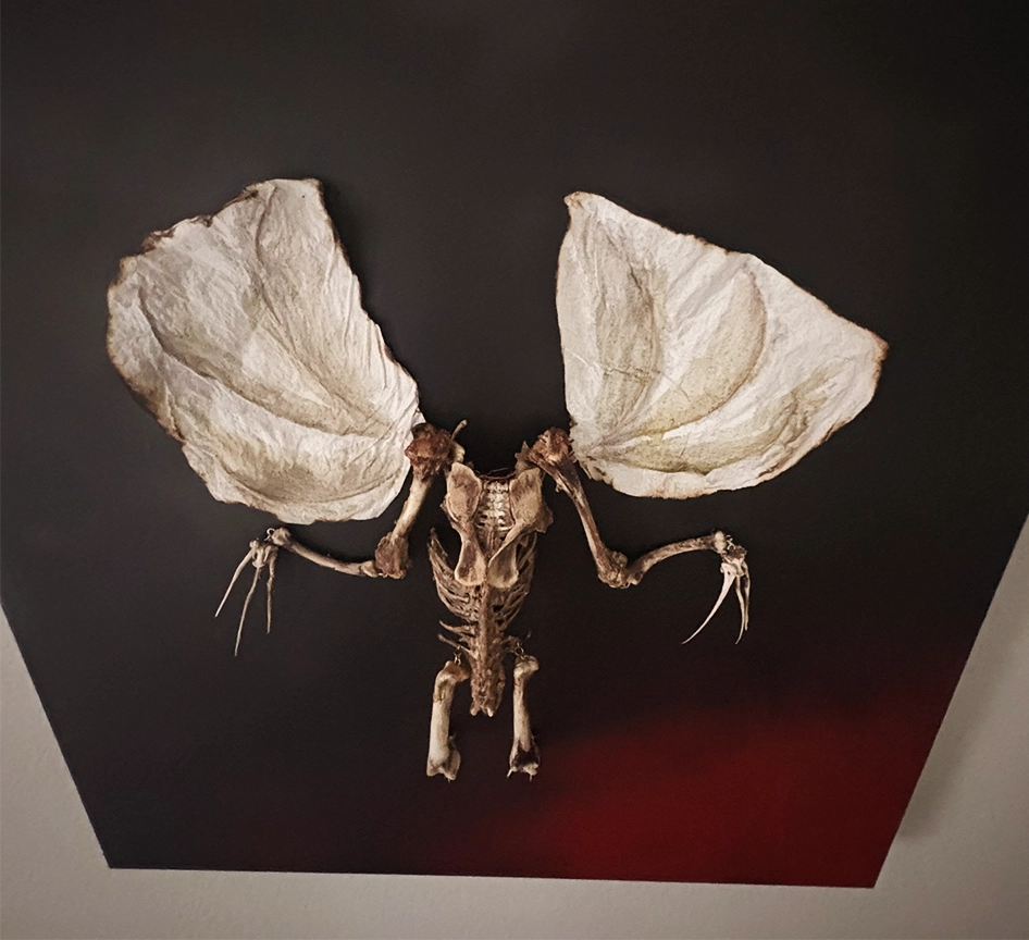 Dúlachán Skeleton Demon