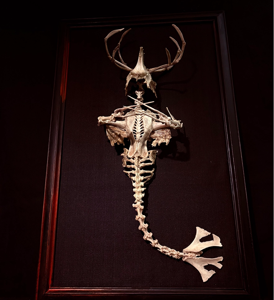 "The Merrow: A skeletal merman sculpture by Hybrid Fever, featuring hand-articulated bone structures inspired by Irish coastal legends."