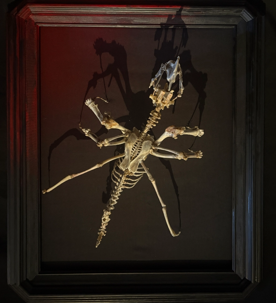 Púca Irish Mythology Lore Card and Bone Art he custom Púca Irish mythology lore card and Certificate of Authenticity that accompanies every handcrafted Púca real bone sculpture from Hybrid Fever.