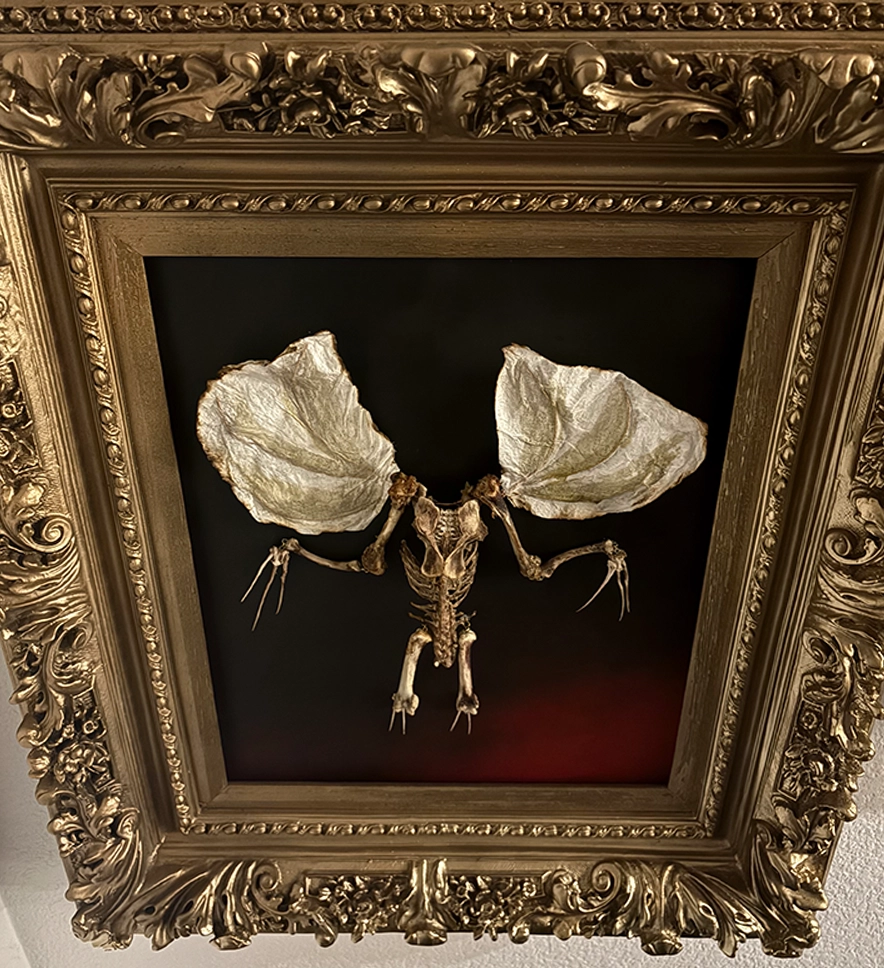 A full-length framed view of the Dúlachán piece, highlighting its presence as a unique piece of biological macabre wall art for collectors.