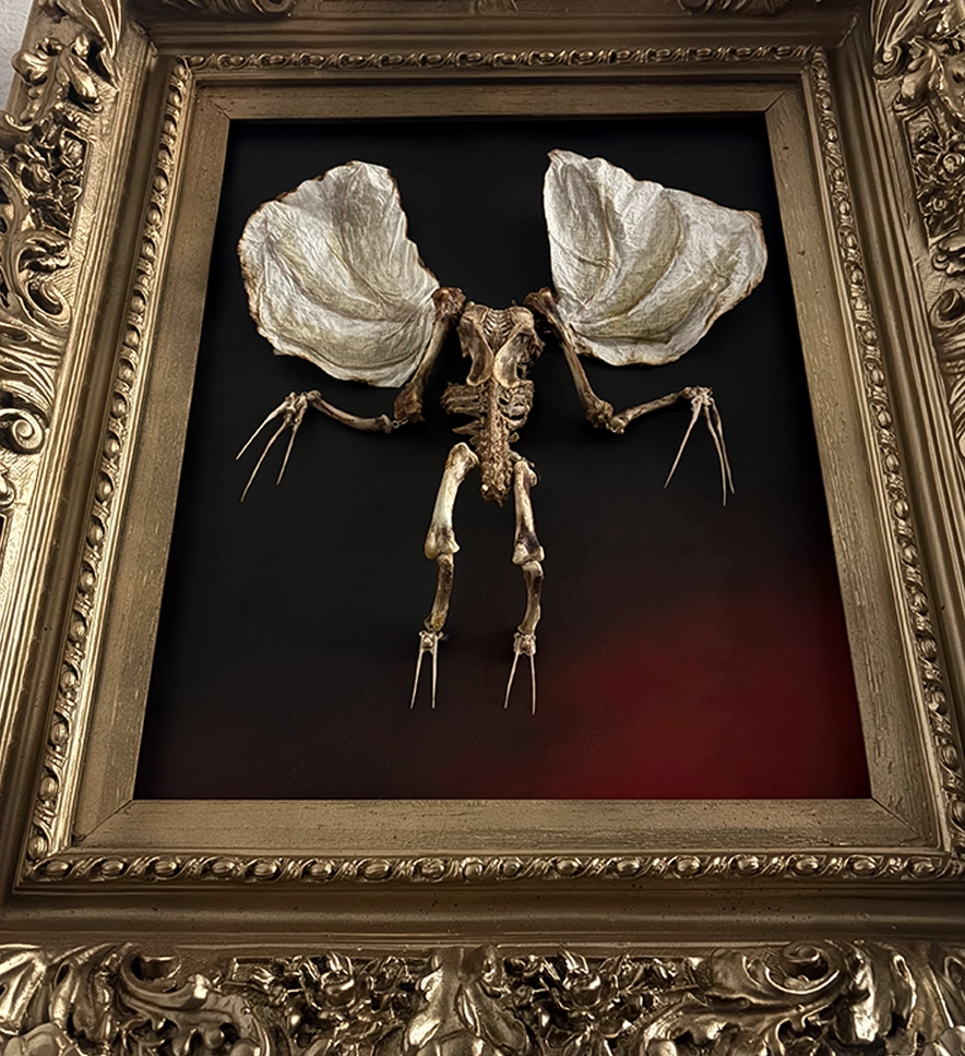 A high-relief skeletal chimera of a winged demon, meticulously handcrafted from authentic osteological specimens and mounted in a bespoke black wood frame.