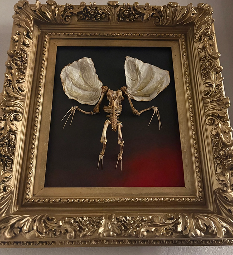 the Dúlachán piece, highlighting its presence as a unique piece of biological macabre wall art for collectors.