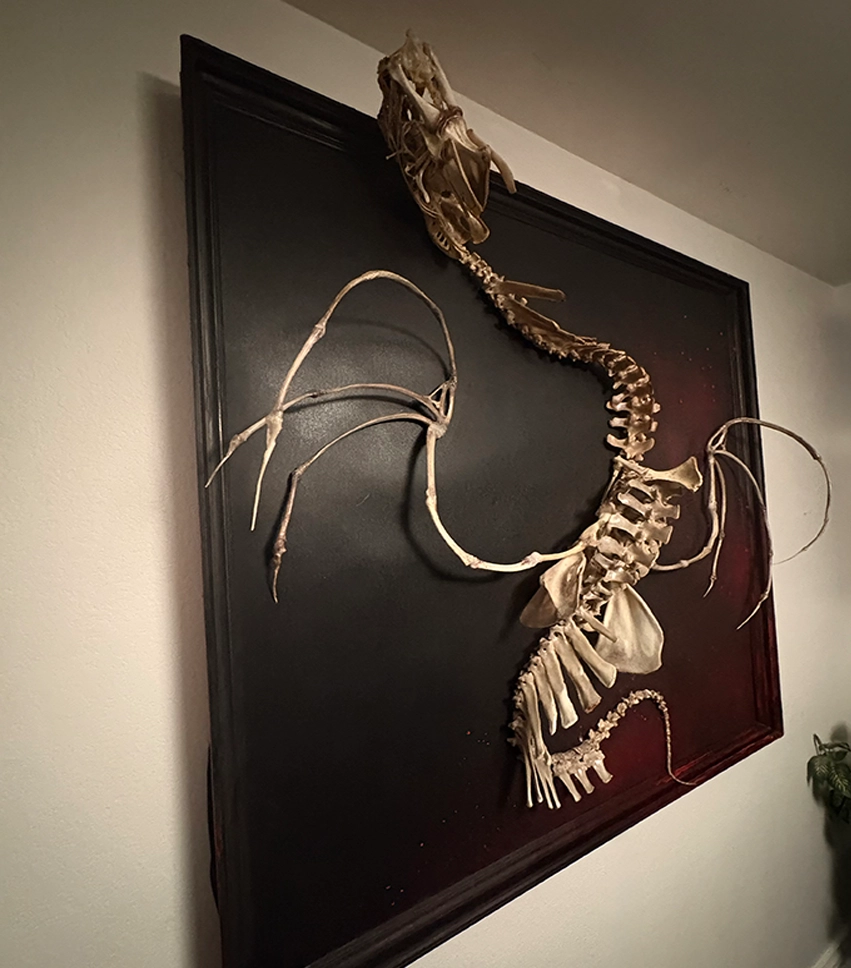 Ollphéist – 10-Inch High-Relief Skeletal Art Side profile of the Ollphéist bone dragon, highlighting the 10-inch sculptural depth and the wings extending beyond the 4x4 hand-painted wood frame