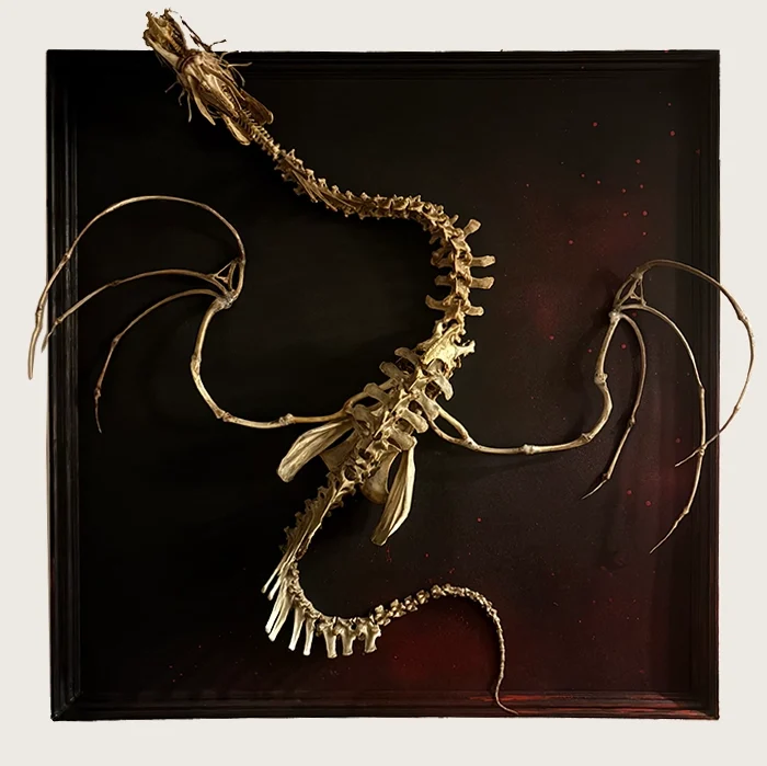 Ollphéist Dragon King – 4-Foot Real Bone Masterpiece Full view of the Ollphéist dragon king sculpture in a 4x4 frame, handcrafted from real cow, pig, turkey, and chicken bones on a black plastic vinyl canvas.