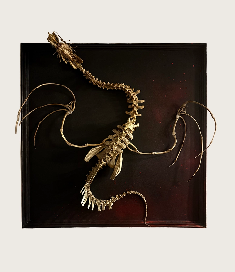Ollphéist Dragon King – 4-Foot Real Bone Masterpiece Full view of the Ollphéist dragon king sculpture in a 4x4 frame, handcrafted from real cow, pig, turkey, and chicken bones on a black plastic vinyl canvas.