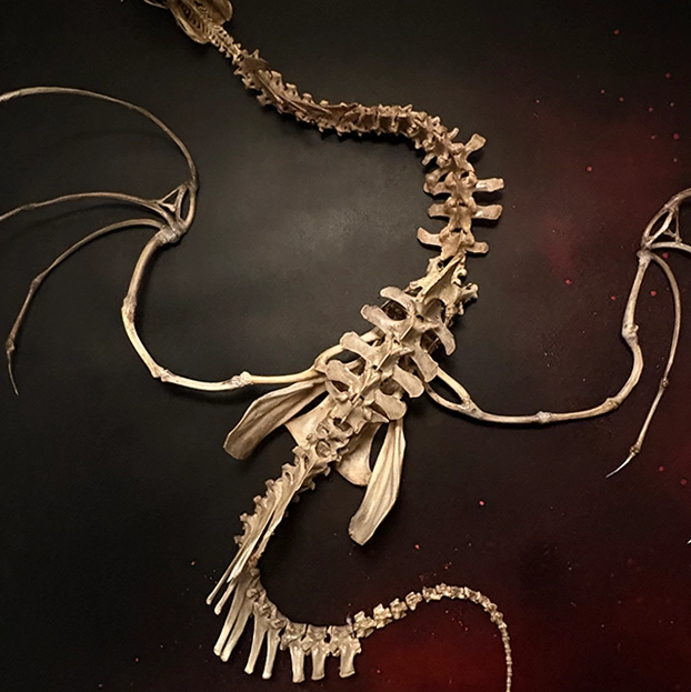 Intricate Bone Detail – Tilapia and Poultry Skeletal Art Macro detail of the Ollphéist’s spinal column and ribcage, featuring the delicate textures of real tilapia fish bones and hand-cleaned poultry remains.