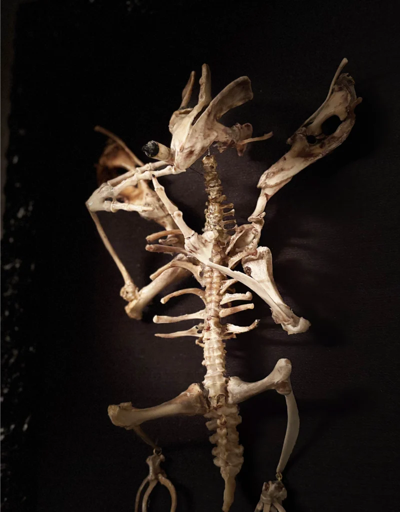 A striking full-body shot of the Aillen bone sculpture, featuring an ethereal skeletal "Smoke Demon" meticulously crafted from real bones.
