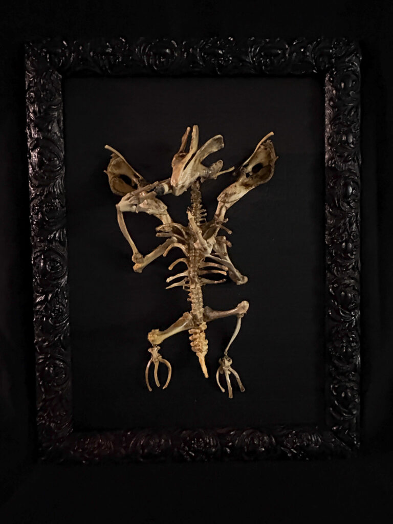 Fine detail of the skeletal teeth and hand-articulated jaw of Aillen, emphasizing his predatory and mythical nature.