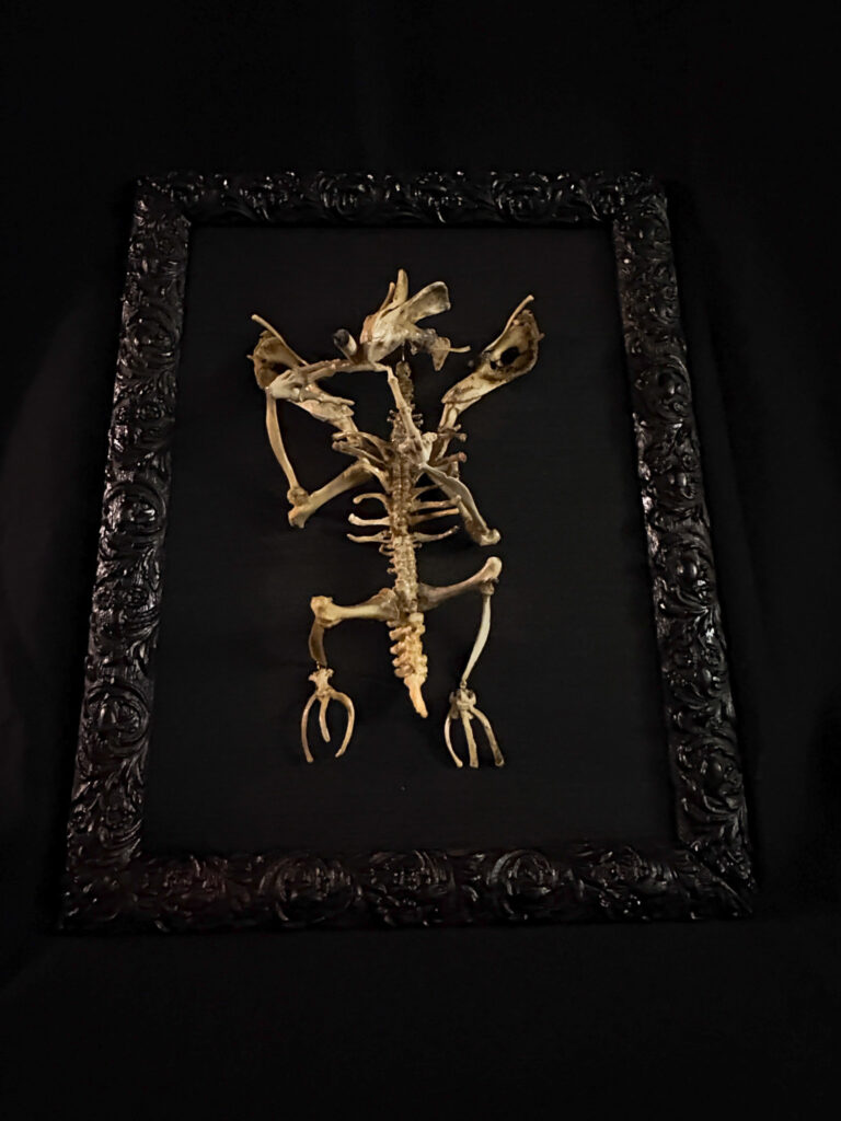 Moody, low-light silhouette of the Aillen skeleton, capturing the macabre elegance of the demon who haunts the night of Samhain.