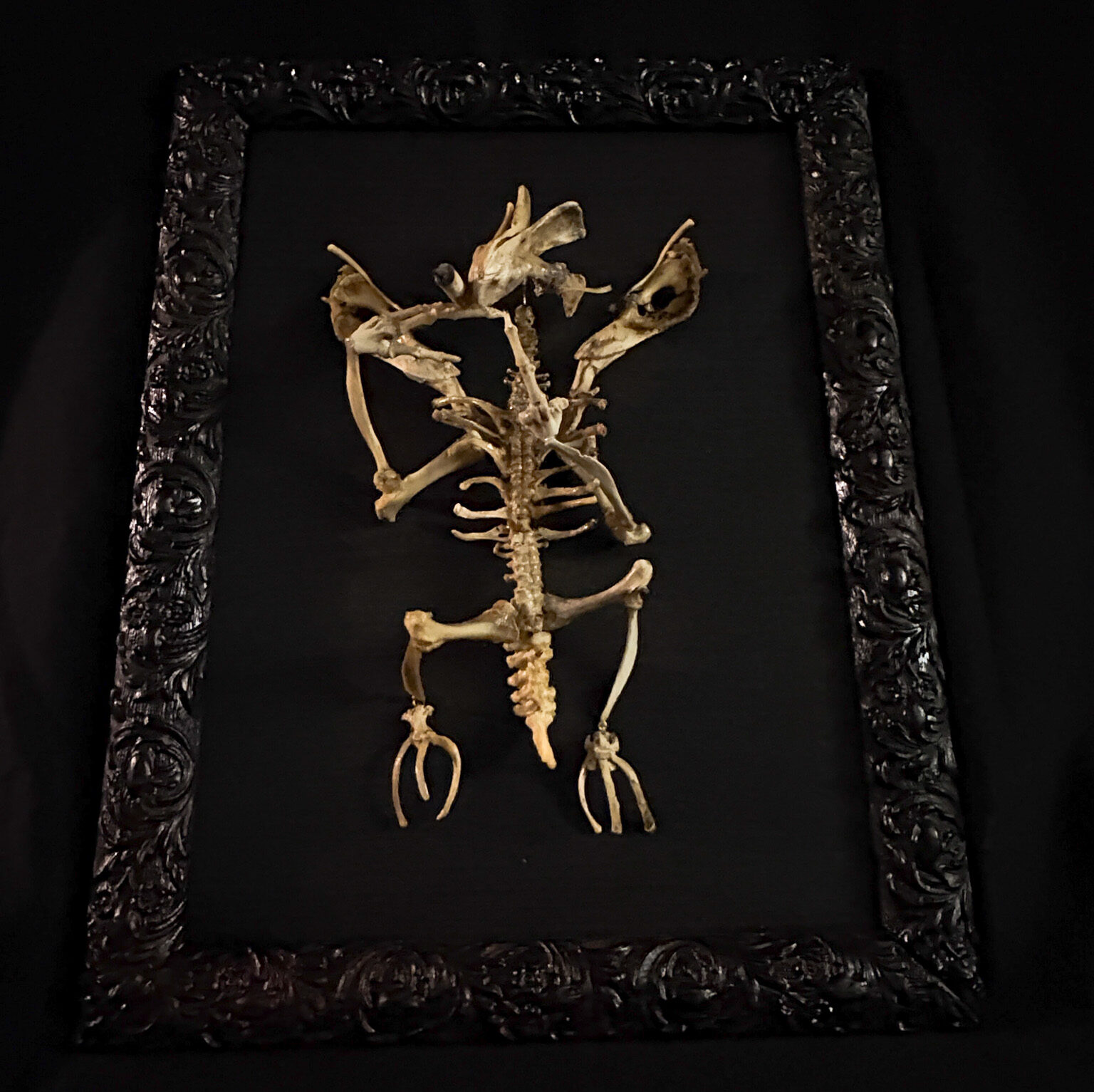 Moody, low-light silhouette of the Aillen skeleton, capturing the macabre elegance of the demon who haunts the night of Samhain.