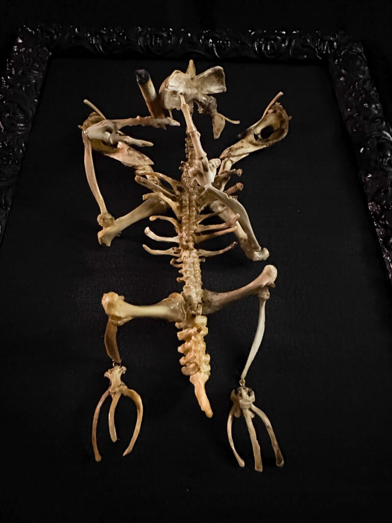 Macro shot of the Aillen skeletal head showing an open-jawed posture designed to evoke his legendary incendiary breath.