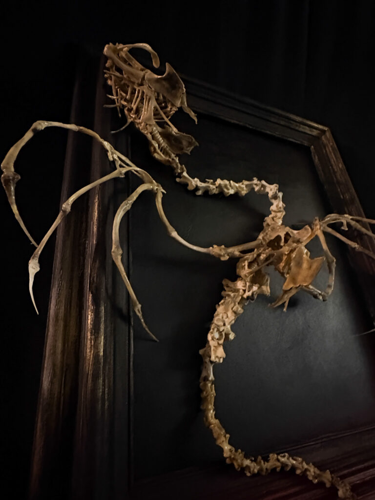 Detail of the hand-articulated serpentine spine of the Beithir, showcasing natural bone texture and no resins