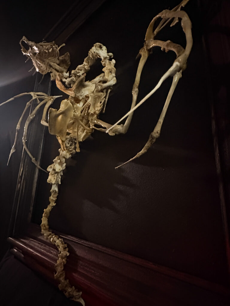 A detailed shot focusing on the skeletal wing structure and spinal curve of the Beithir dragon, highlighting the "Ethereal Macabre" craftsmanship.