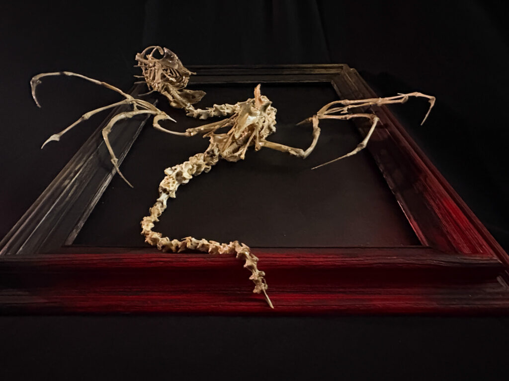 Upward view of the Beithir serpent skeleton coiling around a natural driftwood base, highlighting the marriage of bone and nature