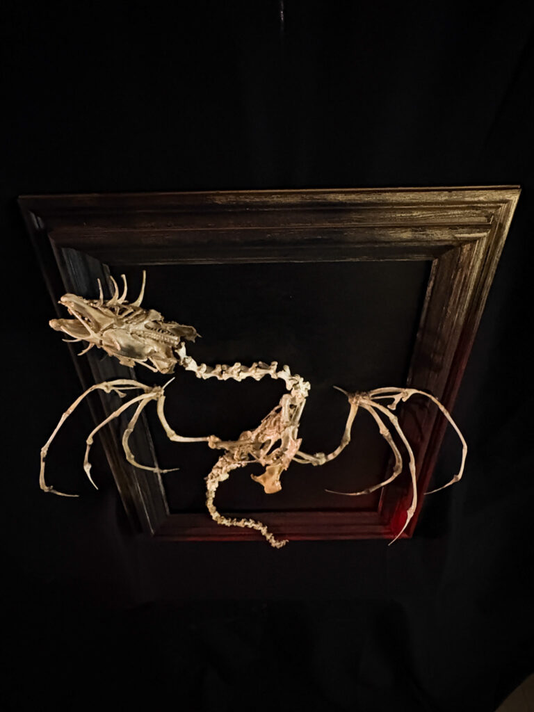 A high-angle gallery shot of the Beithir skeletal art piece, presented as a museum-quality folklore reliquary.