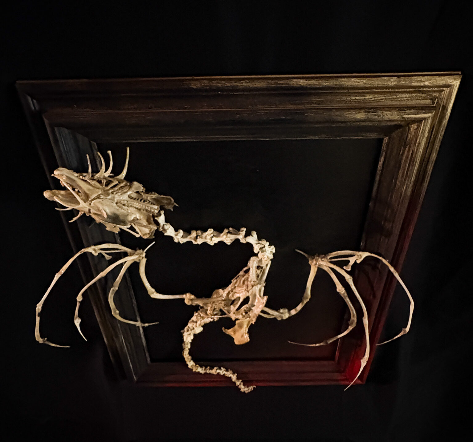 A high-angle gallery shot of the Beithir skeletal art piece, presented as a museum-quality folklore reliquary.