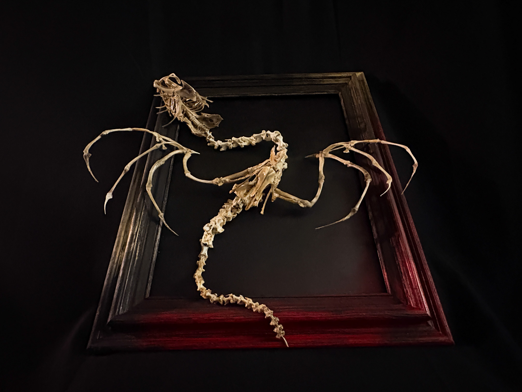 The delicate, tapering end of the Beithir skeletal tail, showing the precision of hand-articulated small-scale bones.