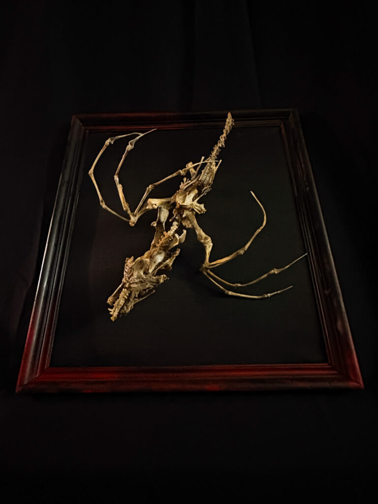 Macro shot of bone joints on the Caoránach serpent, proving the absence of plastics or resin in Hybrid Fever fine art.