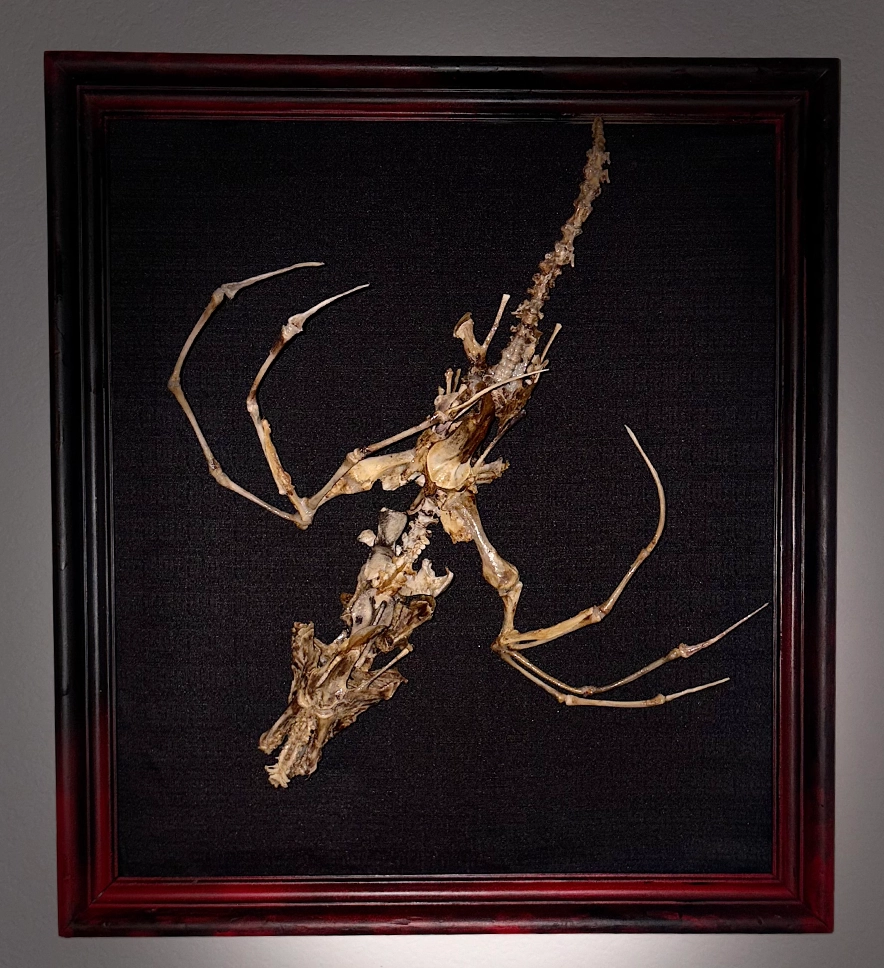Caoranach: The Primordial Mother – Full View A striking full-body shot of the Caoranach bone sculpture, featuring a multi-limbed skeletal form meticulously crafted from real bones, representing the primordial mother of demons.