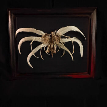 A profile view of the Demna Aeóir, blending avian anatomy with mythical demon features in a fine art skeletal installation.