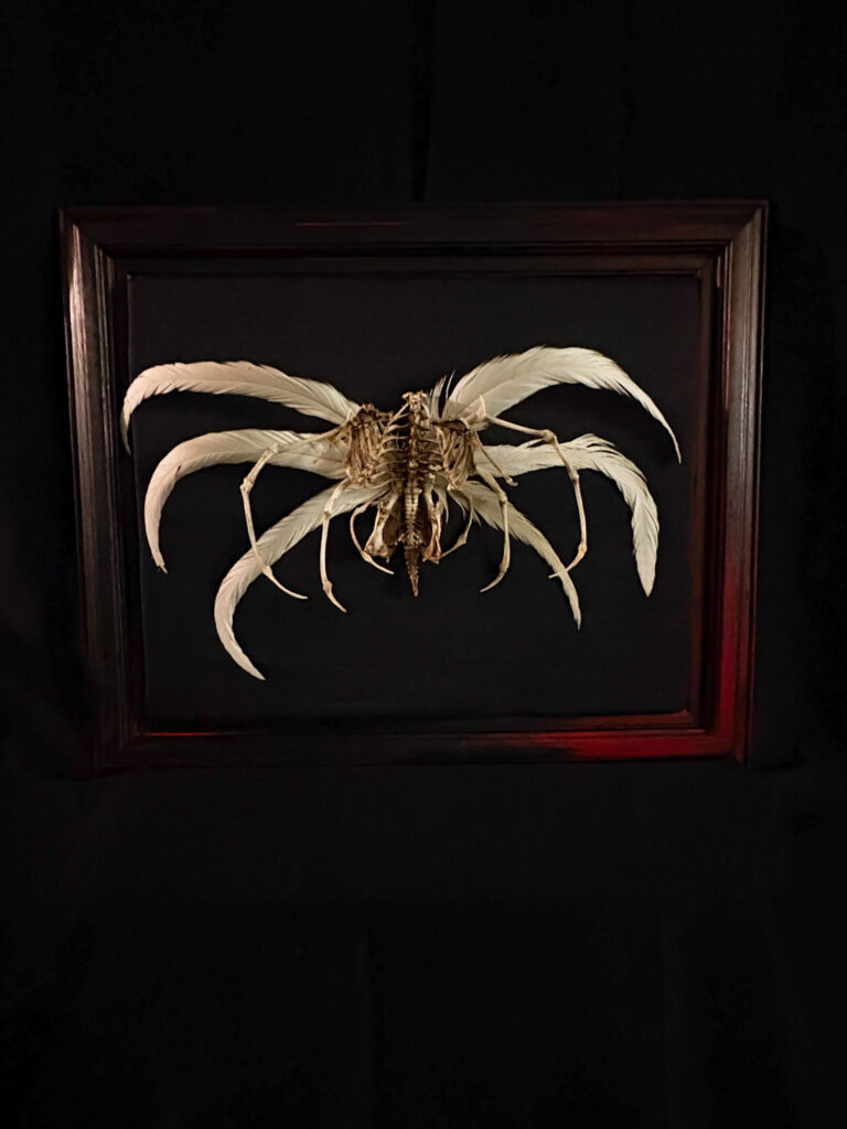 Demna Aeoir, a real bone winged demon sculpture. No resins or plastics used. A profile view of the Demna Aeóir, blending avian anatomy with mythical demon features in a fine art skeletal installation.