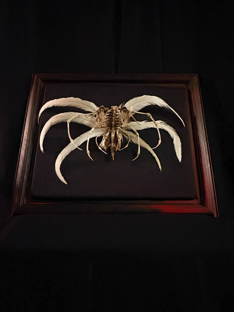 Demna Aeoir, a real bone winged demon sculpture. No resins or plastics used. The delicate, tapering ends of the skeletal wings, showing the precision of hand-articulated small-scale bones.