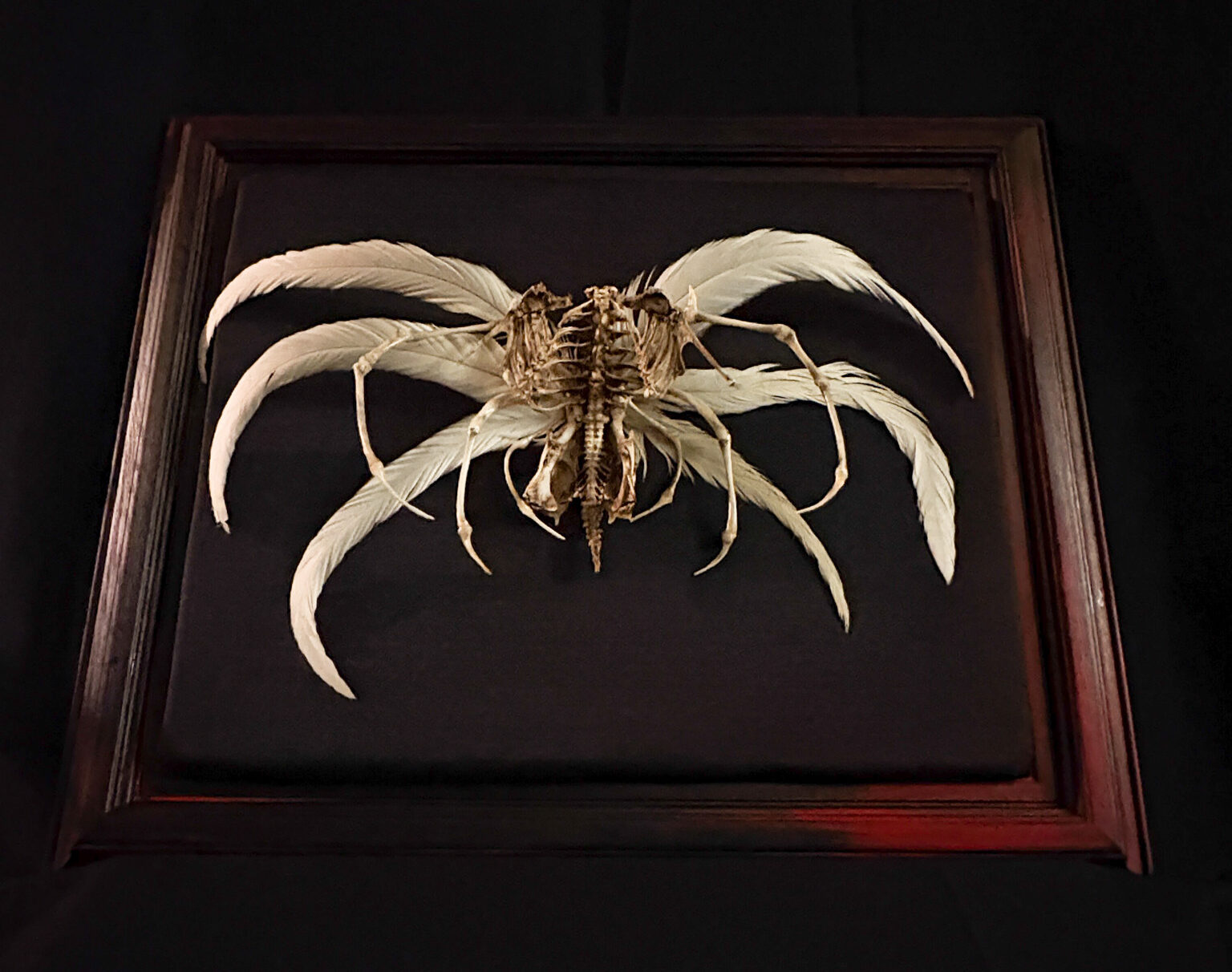 The delicate, tapering ends of the skeletal wings, showing the precision of hand-articulated small-scale bones.