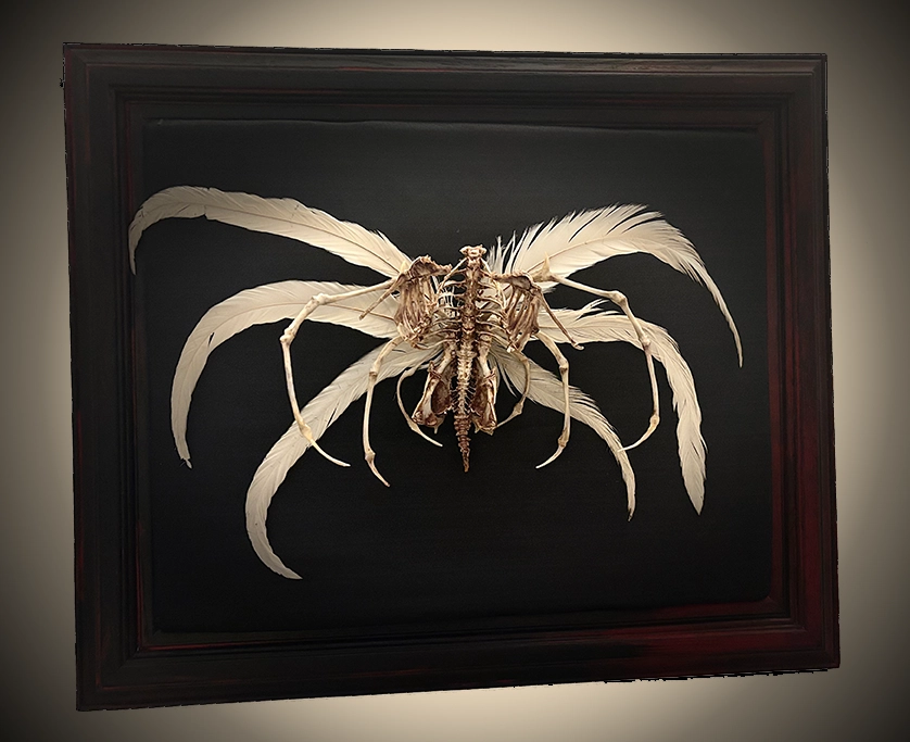 A striking full-body shot of the Demna Aeóir bone sculpture, featuring an angel-demon skeletal form with intricate bone wings, meticulously crafted from real biological