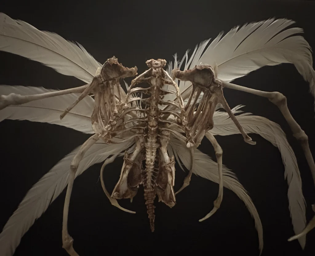 Demna Aeoir real bone and feather sculpture by Hybrid Fever