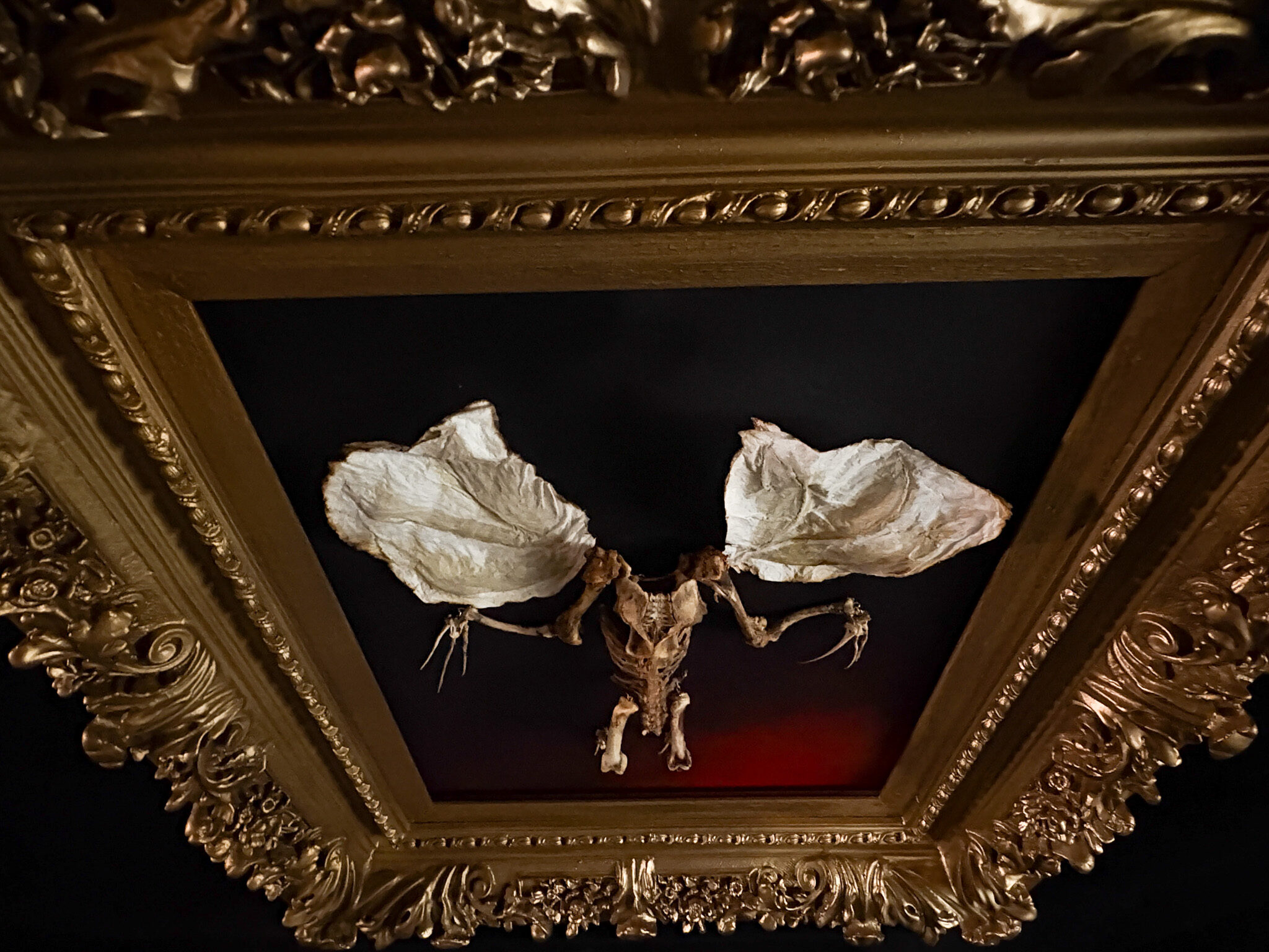 Real Bone Art in Los Angeles.