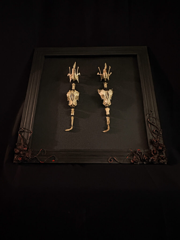 Full skeletal articulation of the Each-uisce water horse, hand-posed in a dynamic galloping posture on a custom museum-grade base.
