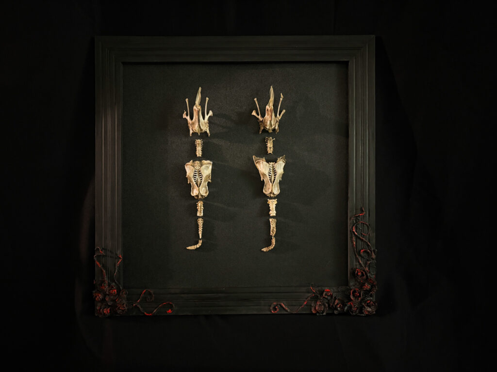 The Each-uisce skeleton mounted on a natural driftwood base, symbolizing its eternal connection to the wild Irish coast.