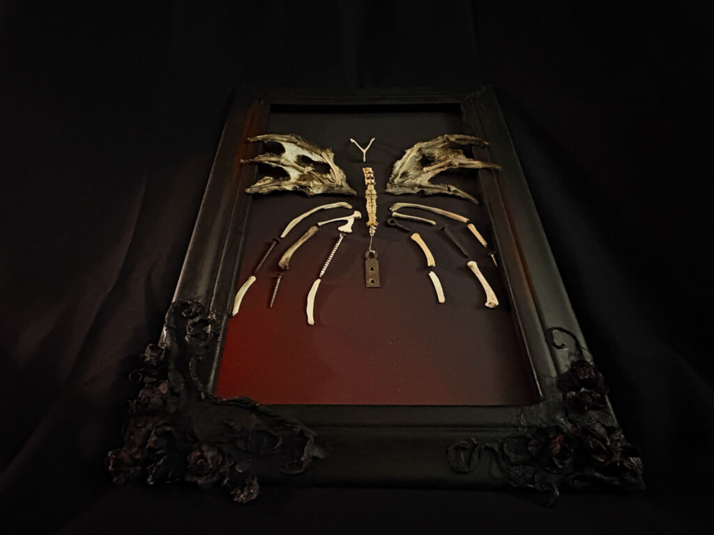Feileacain butterfly | Real bone sculptures Profile view of the Féileacáin skeletal butterfly, capturing the transformation from raw bone to delicate winged spirit.