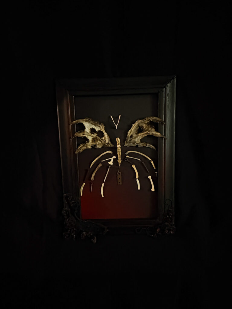 Feileacain butterfly | Real bone sculptures Féileacáin: The Bone Butterfly - Full View