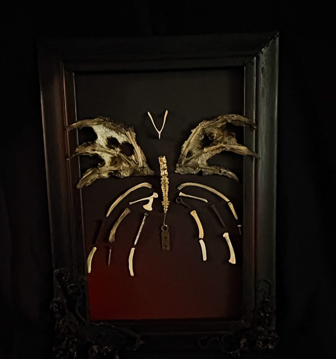 Féileacáin: The Bone Butterfly - Full View