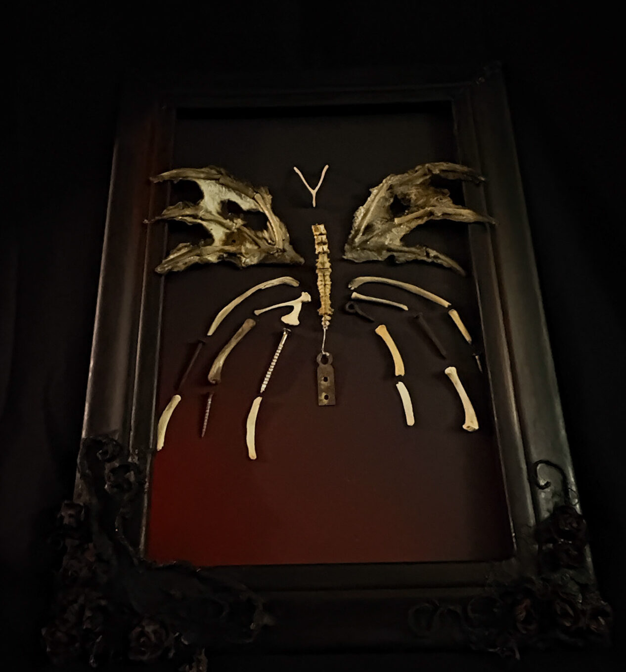 Hand-posed Féileacáin skeletal butterfly on a custom base, designed to evoke the weightless grace of a real butterfly.