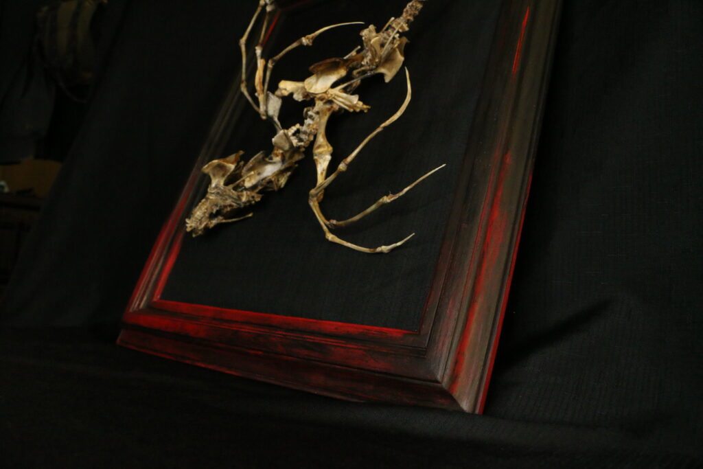 Caoranach: Biological Art Masterpiece Caoranach sculpture, showcasing the "Ethereal Macabre" artistic style and the complex fusion of skeletal anatomy with Celtic mythological themes. by Hybrid Fever