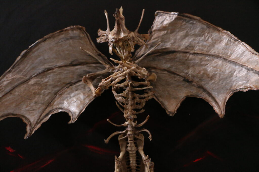 Close-up of a Bánánach bone chimera featuring intricate anatomical precision and real bird bone.