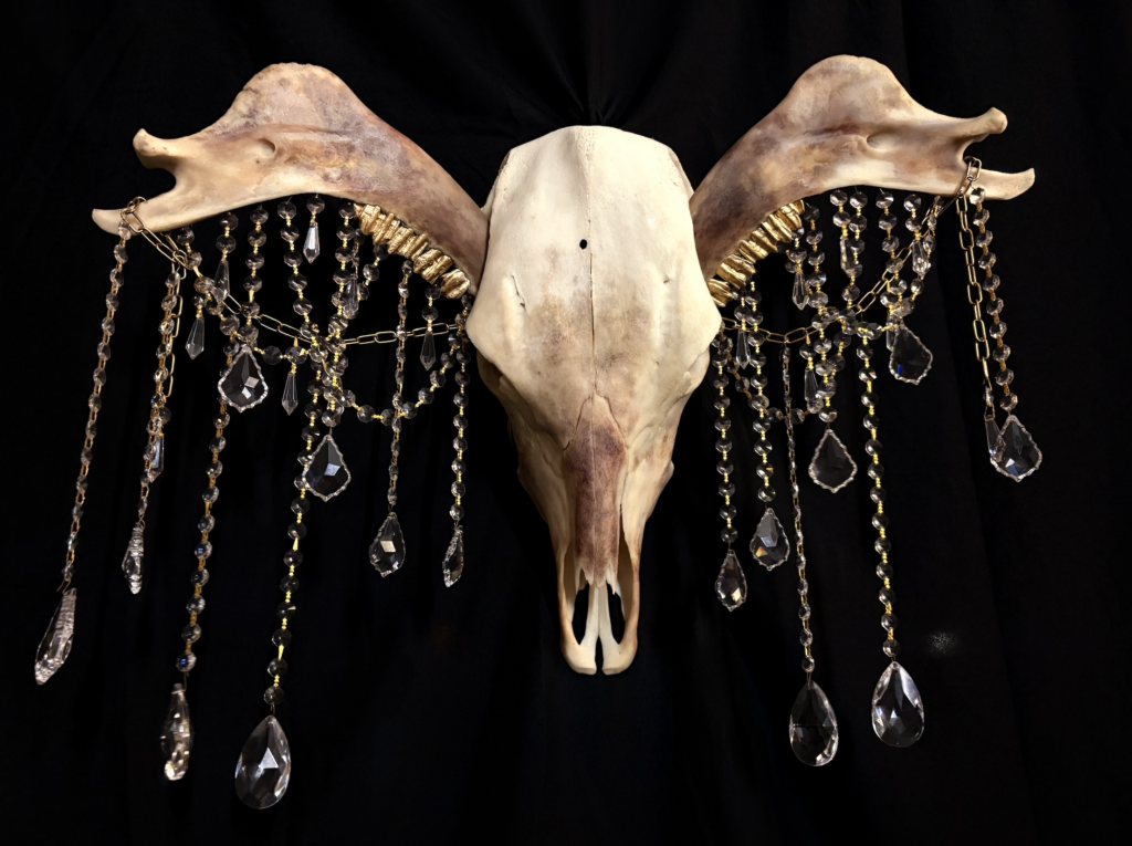 Detail of internal lighting glowing through a real bovine skull snout on the Donn Cuailnge sculpt