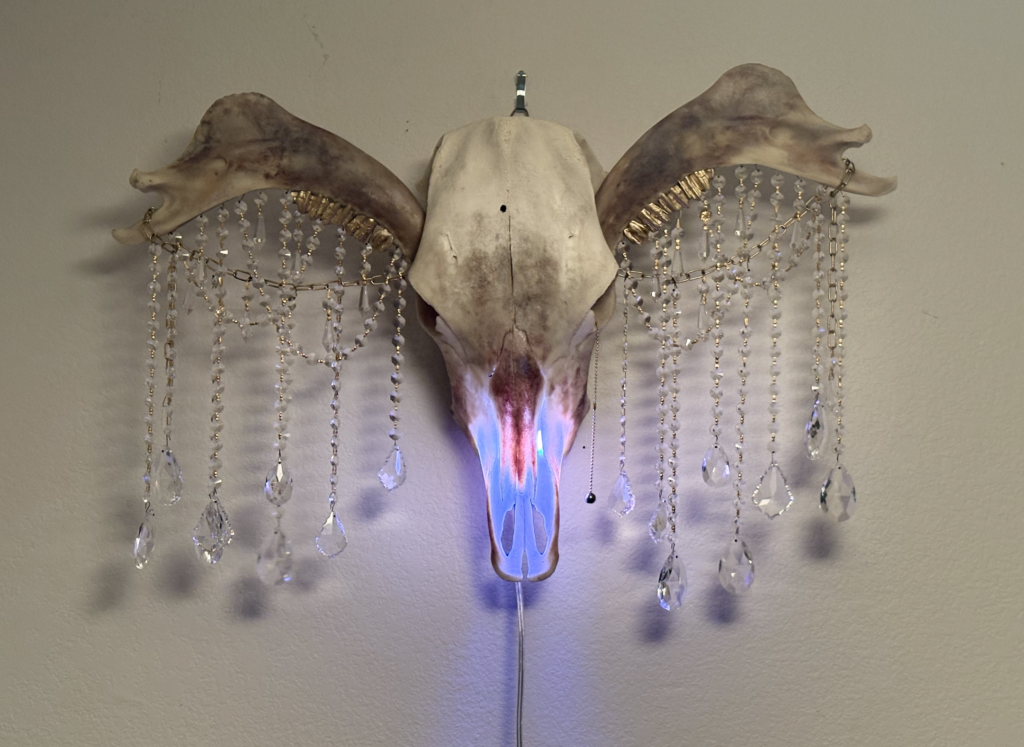Donn Cuailnge: A lighted skeletal reliquary featuring inverted jawbone horns and crystal accents.