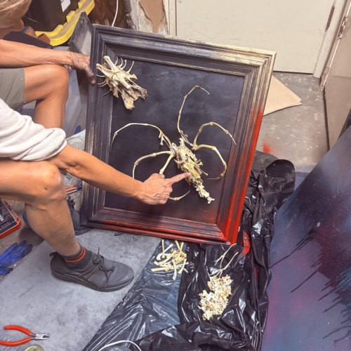 The creative process of designing skeletal art sculptures from real animal bones.