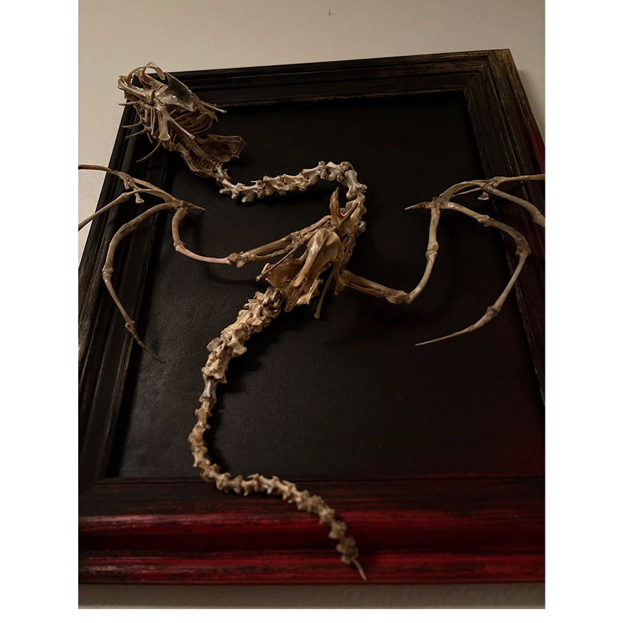 Beithir: Boned Winged Sculpture by Hybrid Fever in Los Angeles