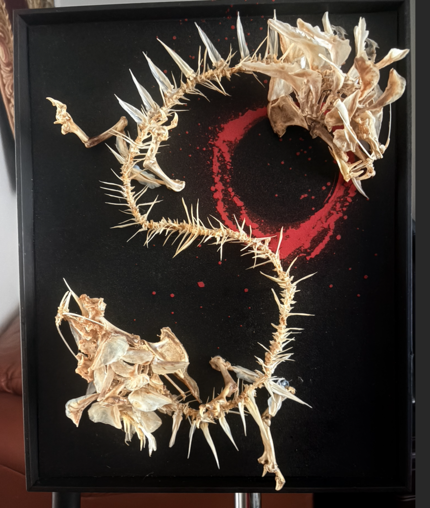 Balor a two headed Chinese Dragon real bone sculpture