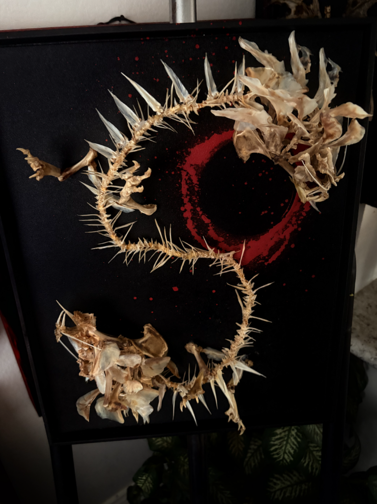 Chinese Dragon real bone sculpture