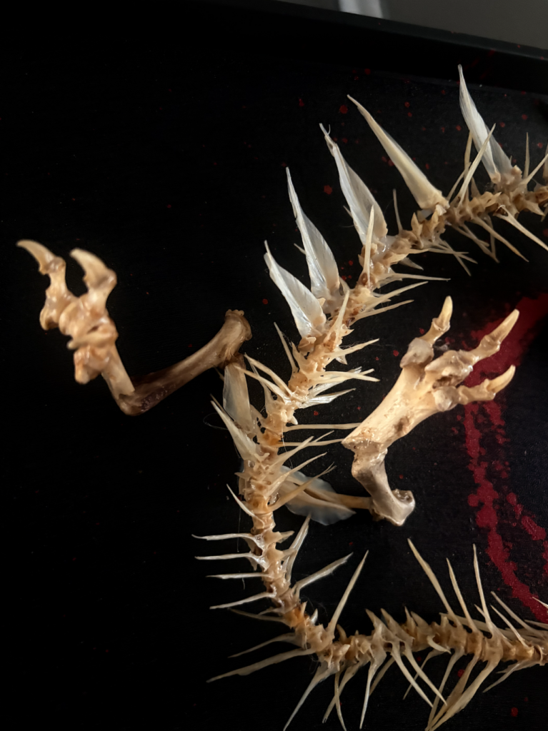 Chinese Dragon real chicken & fish bone sculpture