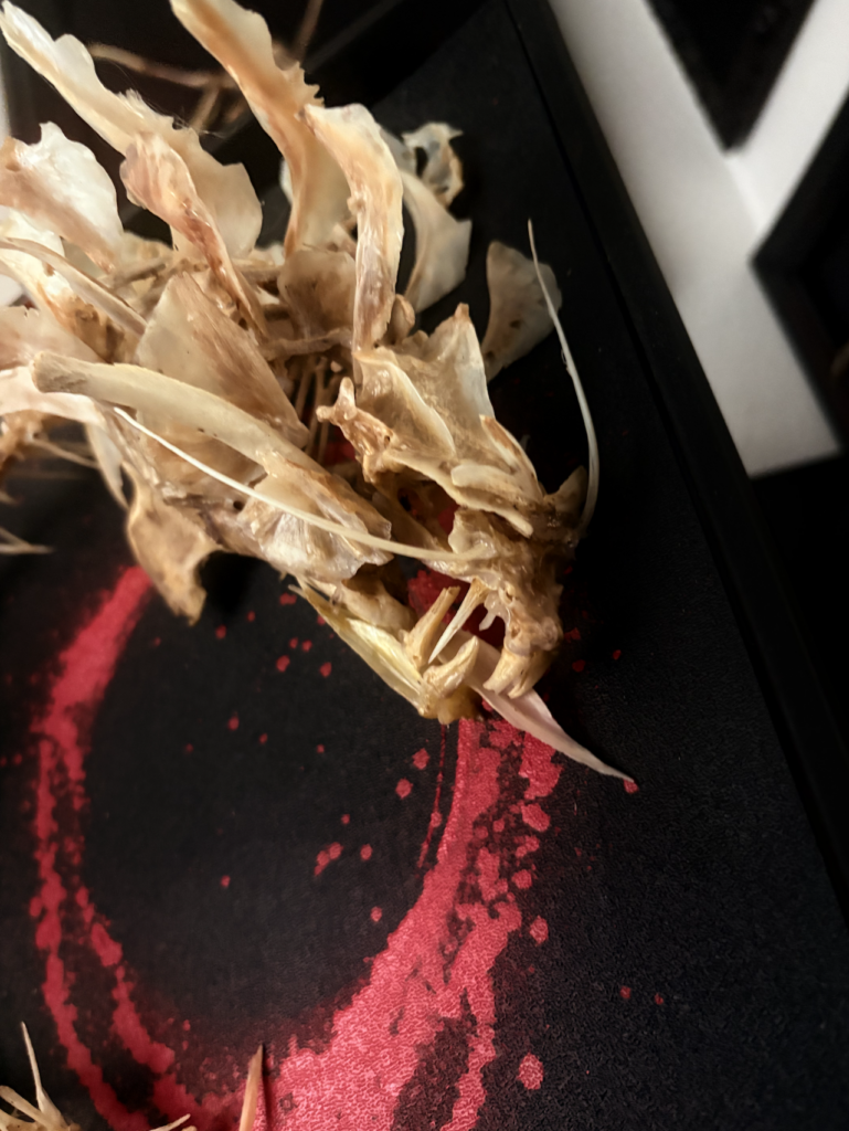 Closeup of head of real done Chinese Dragon Art by Hybrid Fever